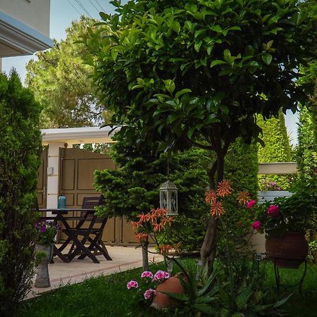 Appartamento Cozy Artemis House Near Athens Airport Esterno foto
