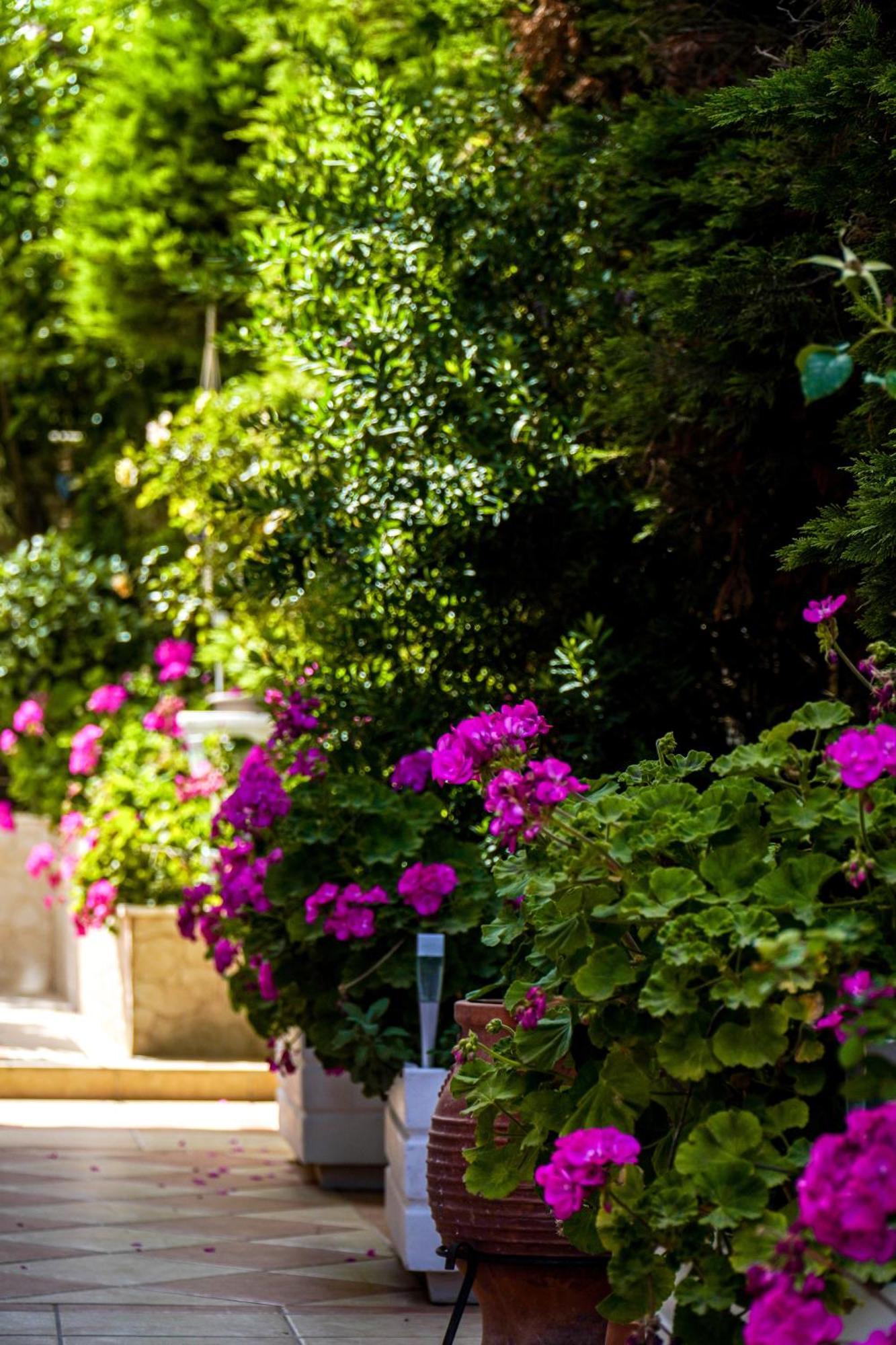 Appartamento Cozy Artemis House Near Athens Airport Esterno foto